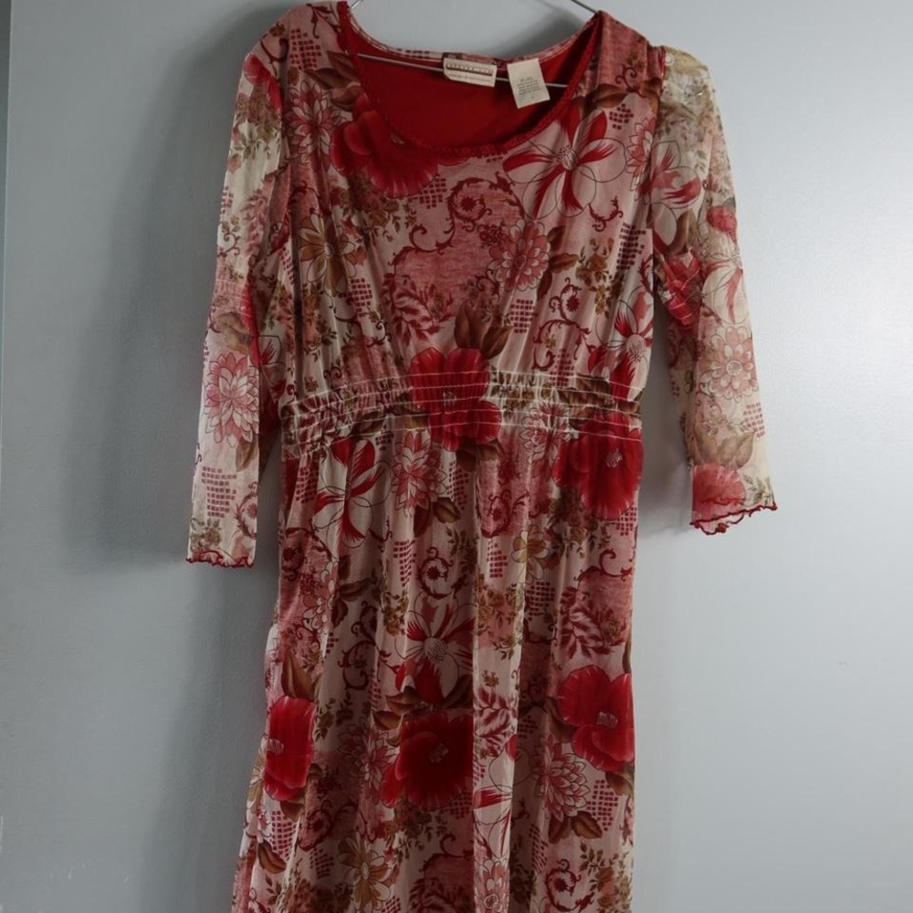 Whimsical Floral Babydoll‎ Dress With Sheer Sleeves Flowers Red Maroon XL